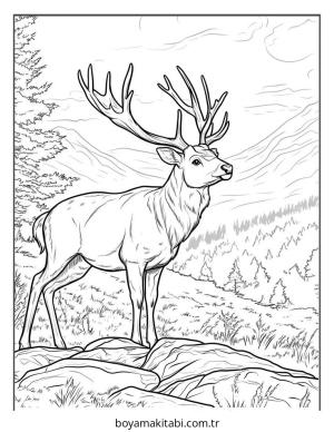 Geyik Boyama