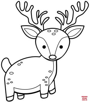 Geyik boyama sayfası, Deers coloring page, , deers cute deer 