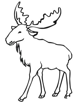 Geyik boyama sayfası, Deers coloring page, , deers eurasian elk moose 