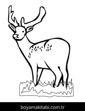 Geyik boyama sayfası – basit çizim, kolay boyama