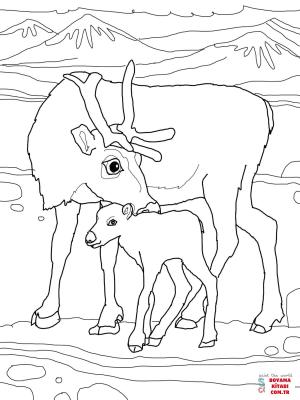 Geyik boyama sayfası, Deers coloring page, , deers baby reindeer with mother 