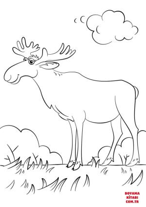 Geyik boyama sayfası, Deers coloring page, , deers cartoon moose 