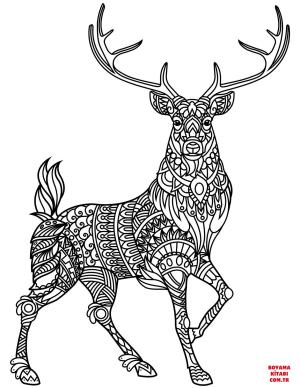 Geyik boyama sayfası, Deers coloring page, , deers deer zentangle 