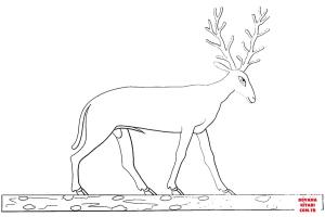 Geyik boyama sayfası, Deers coloring page, , deers ancient egyptian deer 