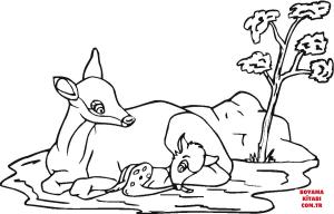 Geyik boyama sayfası, Deers coloring page, , deers mother roe deer and baby 