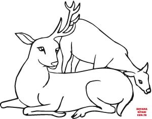 Geyik boyama sayfası, Deers coloring page, , deers deer with one antler 