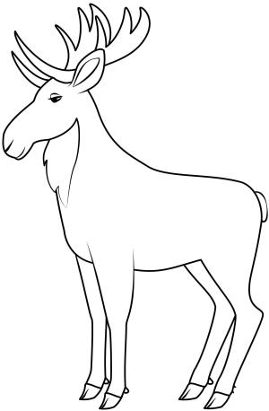 Geyik boyama sayfası, Deers coloring page, , deers moose 