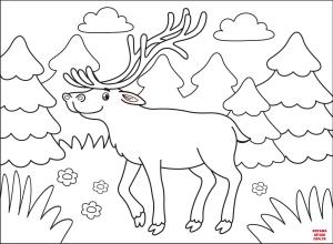 Geyik boyama sayfası, Deers coloring page, , deers elk 