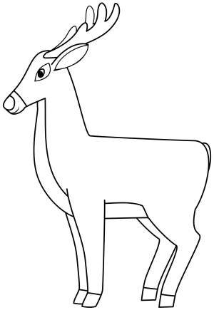 Geyik boyama sayfası, Deers coloring page, , deers deer 