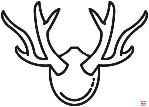 Geyik boyama sayfası, Deers coloring page, , deers deer antlers 