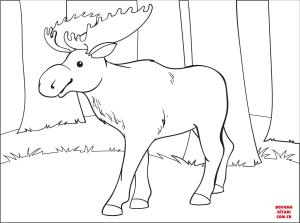 Geyik boyama sayfası, Deers coloring page, , deers moose 