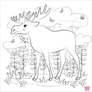 Geyik boyama sayfası, Deers coloring page, , deers moose 