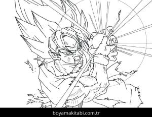 Son Goku Boyama