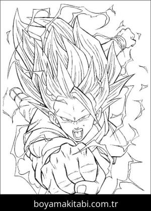 Son Goku Boyama