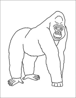 Goril boyama sayfası,  coloring page, Mutlu Goril, 