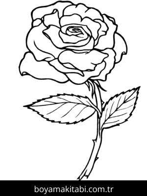 Gül boyama sayfası – basit çizim, kolay boyama