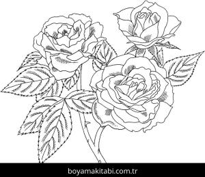 Gül boyama sayfası – keyifli zaman, renkli çizimler