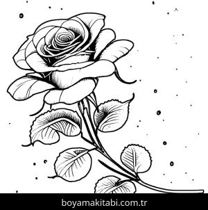 Gül boyama sayfası,  coloring page, , 