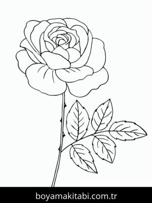 Gül boyama sayfası – eğitici aktivite, yaratıcılık