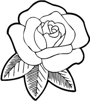 Gül boyama sayfası,  coloring page, Müthiş Gül, 