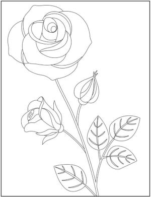 Gül boyama sayfası,  coloring page, Güzel Gül Ağacı, 