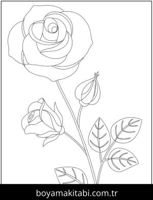 Gül boyama sayfası – renkli çizimler, okul öncesi