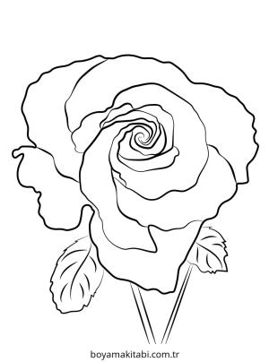 Gül boyama sayfası – yaratıcılık, eğlenceli etkinlik