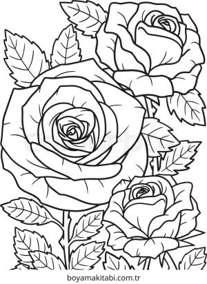 Gül boyama sayfası – basit çizim, kolay boyama