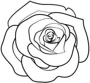 Gül boyama sayfası,  coloring page, Basit Gül, 