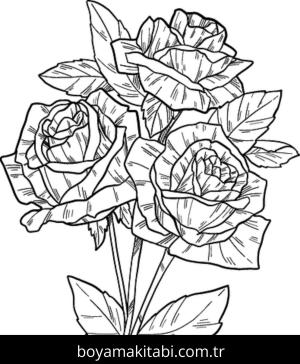 Gül boyama sayfası – yaratıcılık, eğlenceli etkinlik