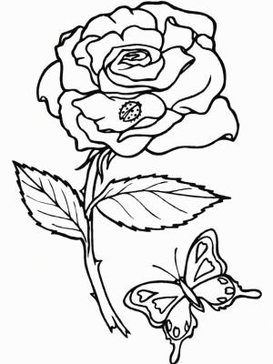 Gül boyama sayfası,  coloring page, Kelebek ile Gül Ağacı, 