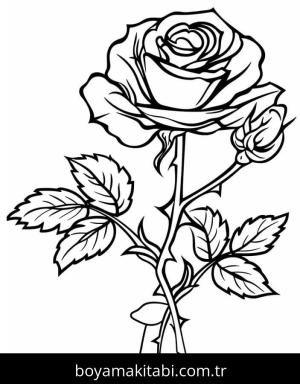 Gül boyama sayfası – yaratıcılık, eğlenceli etkinlik