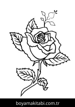 Gül boyama sayfası – yaratıcılık, eğlenceli etkinlik