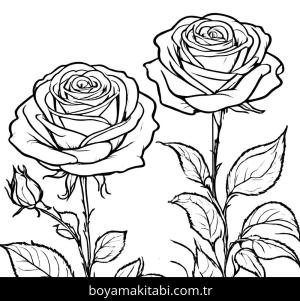 Gül boyama sayfası,  coloring page, , 