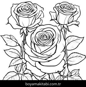 Gül boyama sayfası,  coloring page, , 