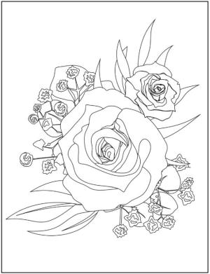 Gül boyama sayfası,  coloring page, Çok Güzel Gül, 