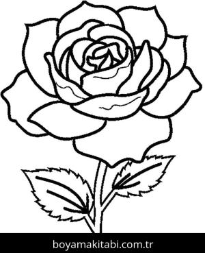 Gül boyama sayfası – yaratıcılığı geliştirir, keyifli zaman