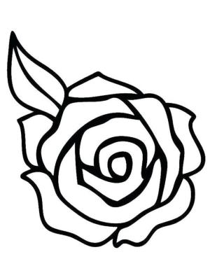 Gül boyama sayfası,  coloring page, Temel Gül, 