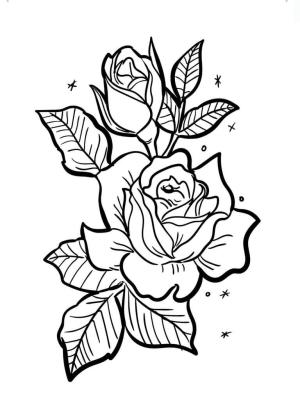 Gül boyama sayfası,  coloring page, Normal Gül, 