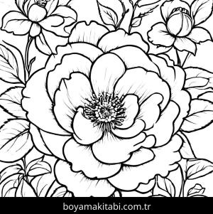 Gül boyama sayfası,  coloring page, , 