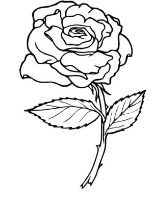 Gül boyama sayfası,  coloring page, Hoş Gül Ağacı, 