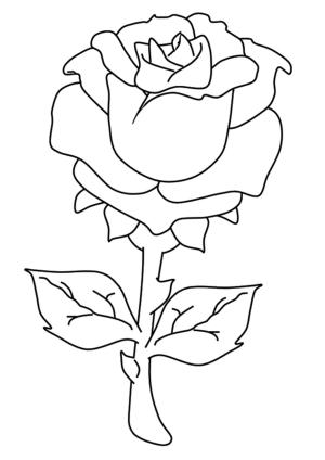 Gül boyama sayfası,  coloring page, Kolay Gül Ağacı, 