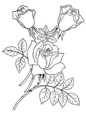 Gül boyama sayfası,  coloring page, Müthiş Gül Ağacı, 