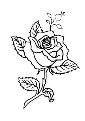 Gül boyama sayfası,  coloring page, İyi Gül Ağacı, 