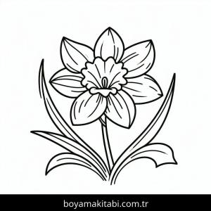 Gül boyama sayfası – ücretsiz yazdır, boyama etkinliği