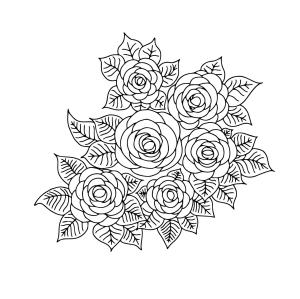 Gül boyama sayfası,  coloring page, Yapraklı Güller, 