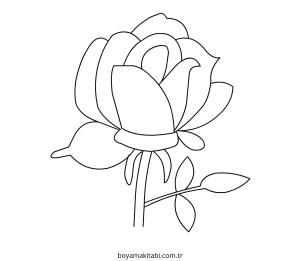 Gül boyama sayfası – ücretsiz yazdır, boyama etkinliği