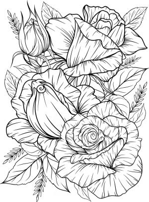 Gül boyama sayfası,  coloring page, Tatlı Güller, 