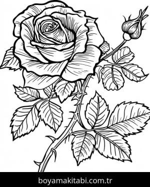 Gül boyama sayfası – eğlenceli etkinlik, el becerilerini geliştirir