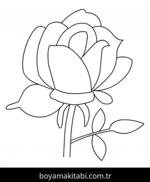 Gül boyama sayfası – sanatsal çalışma, çocuklar için